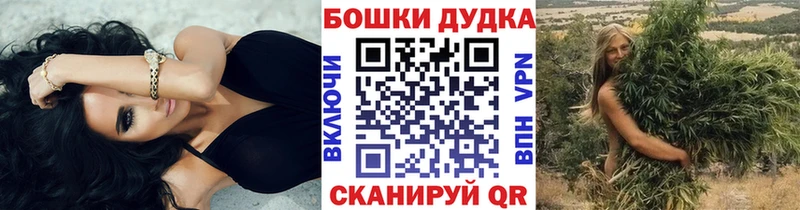 Где купить наркоту Онега Псилоцибиновые грибы  Меф  ГАШИШ  МАРИХУАНА  Cocaine 