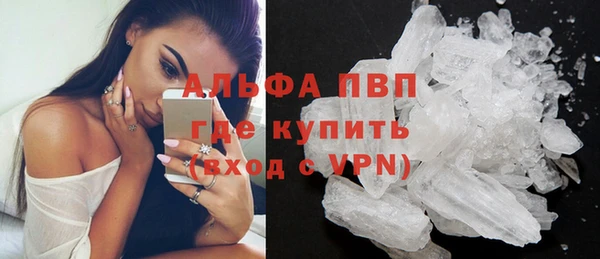 прущие крисы Аркадак