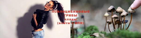 ALPHA-PVP Баксан