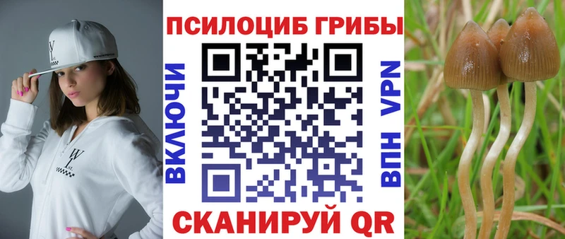 Псилоцибиновые грибы GOLDEN TEACHER  Онега 